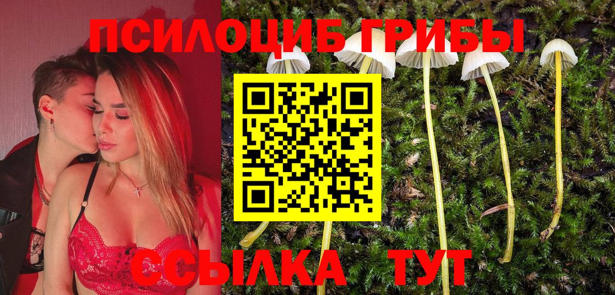 Псилоцибиновые грибы GOLDEN TEACHER  Галлюциногенные грибы Psilocybine cubensis  Озёры  Вход с VPN 
